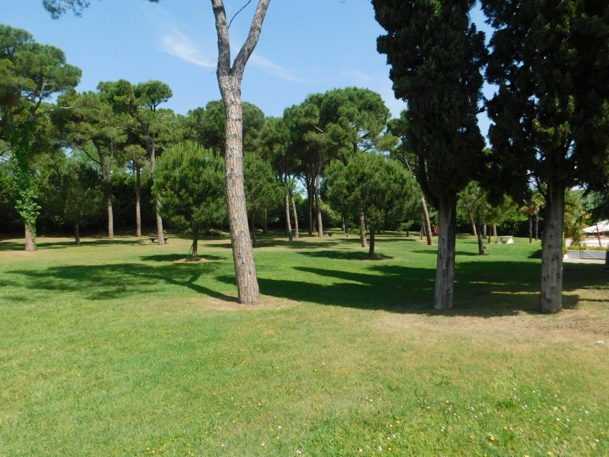 Lato Soleggiato @Gardazzurro Apartment Padenghe sul Garda Bagian luar foto